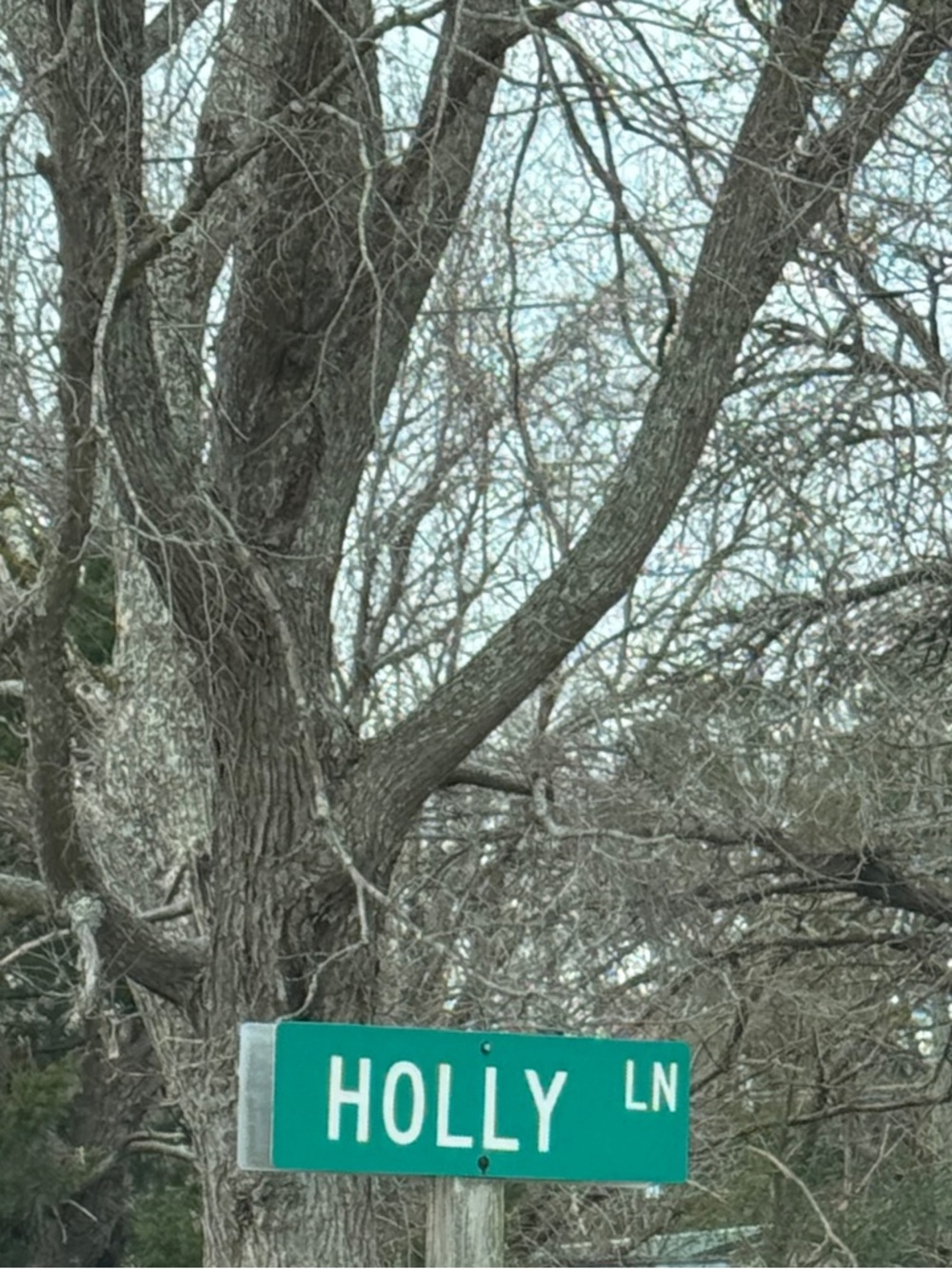 Meet your Posher, Holly